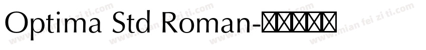 Optima Std Roman字体转换